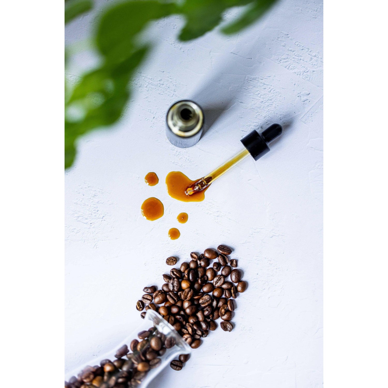 restore + glow coffee oil (15 ml.) - 100% upcycled powerful facial oil - The European Gift Store