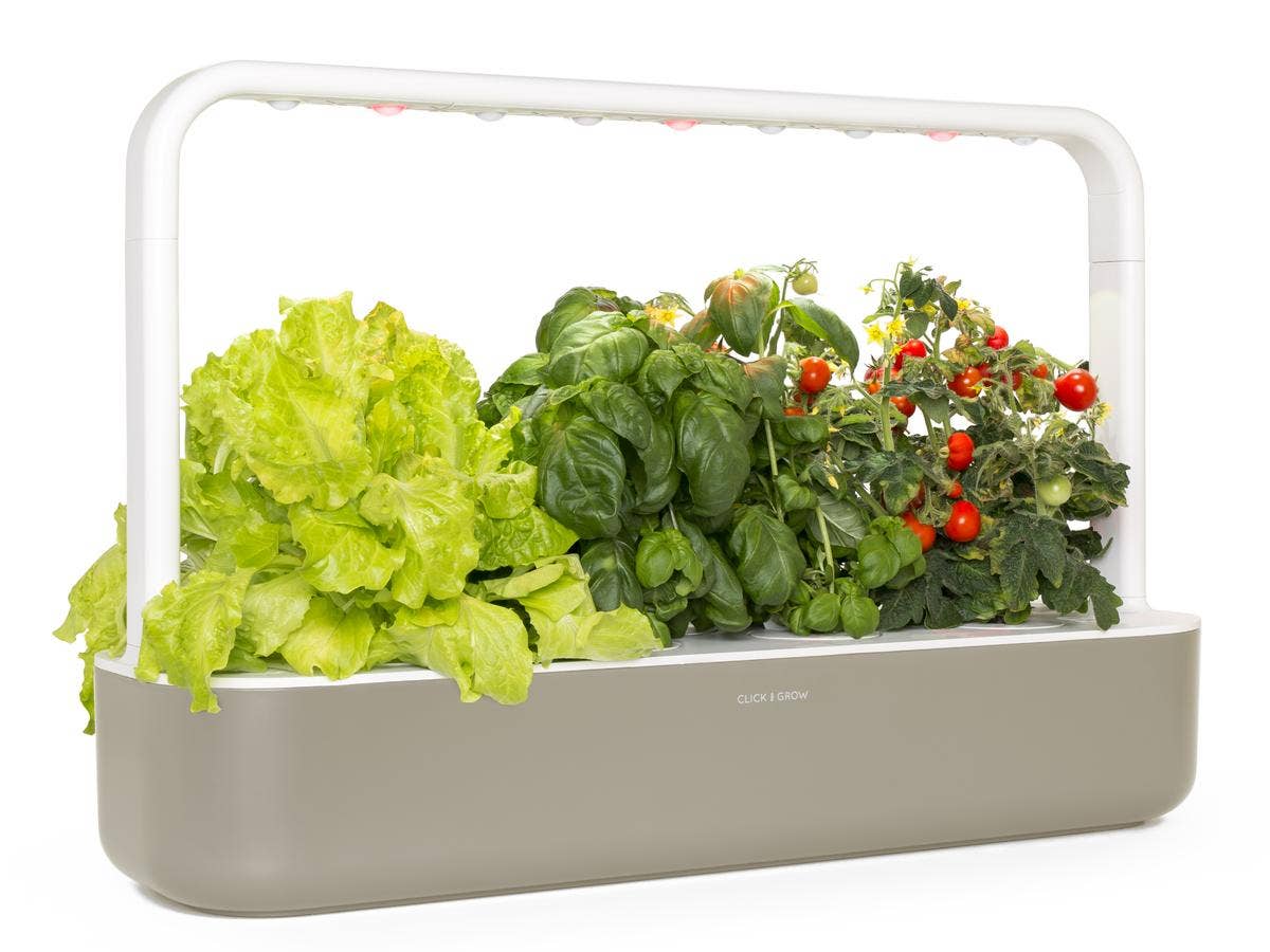 Click &amp; Grow The Smart Garden 9 with Starter Kit (Lettuce, Tomato &amp; Basil) Various Colors Available