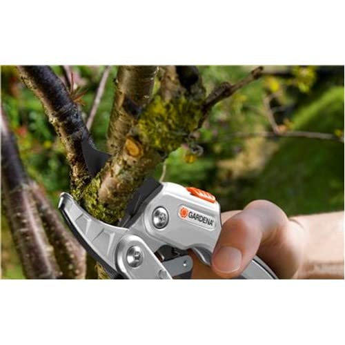 GARDENA Comfort Ratchet Secateurs SmartCut: Stable garden shears, Anvil blade for thick, dry wood of up to 25 mm, 2 handle positions, with ratchet mechanism and alu handles (8798-20).