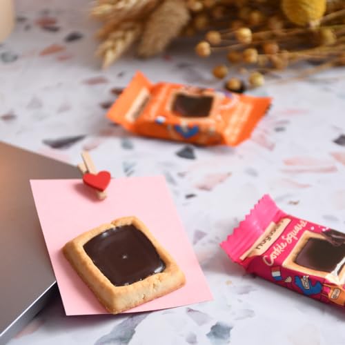 Michel et Augustin Gourmet Cookie Gift Tin, Dark Chocolate & Sea Salt and Milk Chocolate & Caramel Butter Cookies, Holiday Gift Box, Christmas Stocking Stuffer, 40 European Shortbread Cookies.