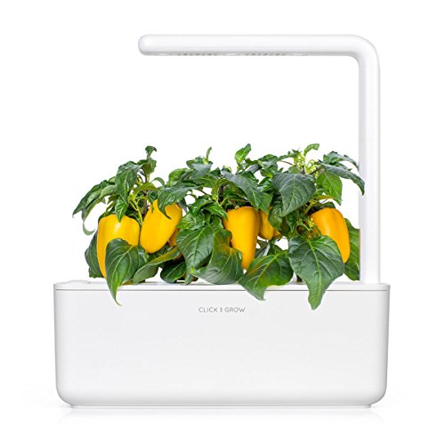 Click and Grow Smart Garden Yellow Sweet Pepper Plant Pods, 9-Pack