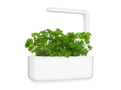 Click and Grow Smart Garden Parsley Plant Pods, 9-Pack