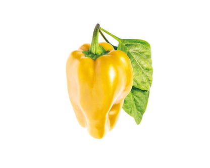 Click and Grow Smart Garden Yellow Sweet Pepper Plant Pods, 3-Pack