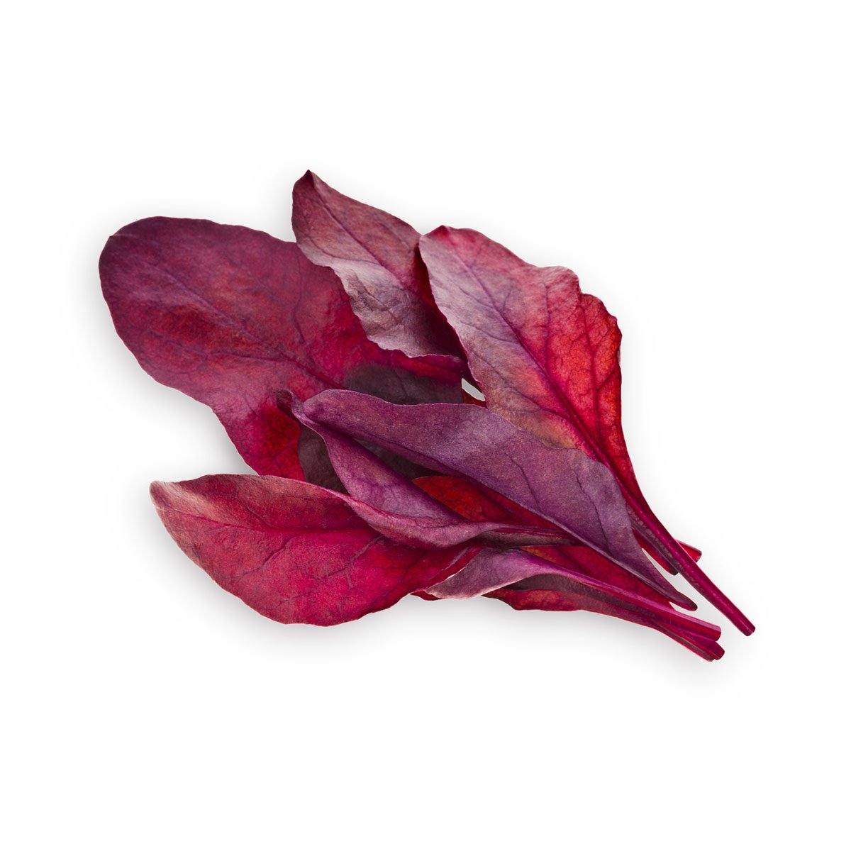 Click and Grow Smart Garden Red Leaf Beet Plant Pods, 3-Pack