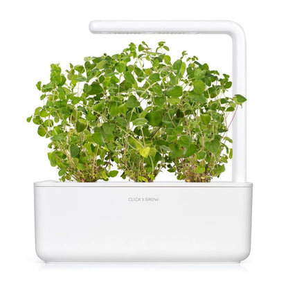 Click and Grow Smart Garden Oregano Plant Pods, 3-Pack