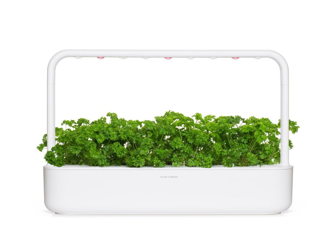 Click and Grow Smart Garden Parsley Plant Pods, 9-Pack