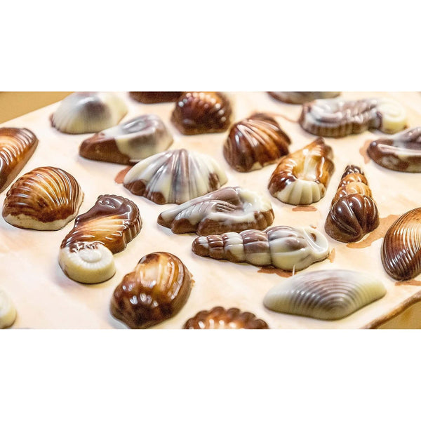 GuyLian Original Belgian Chocolate Seashells 250g Gift Box (Pack of 2): Each Contains Twenty-Two Pieces of Silky Smooth Seashell-Shaped Milk Chocolate with a Creamy Hazelnut Praliné Filling.