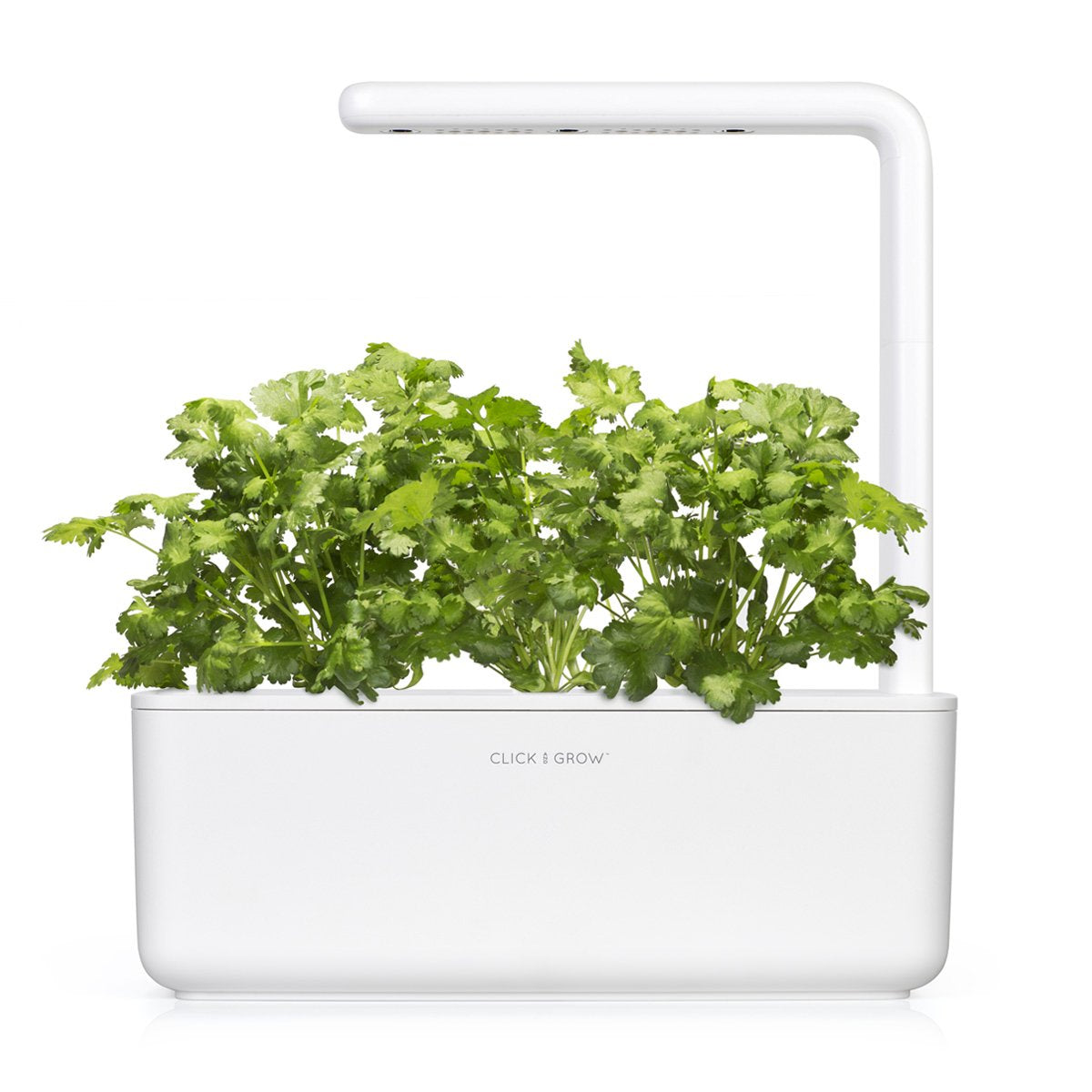 Click and Grow Smart Garden Cilantro/Coriander Plant Pods, 3-Pack