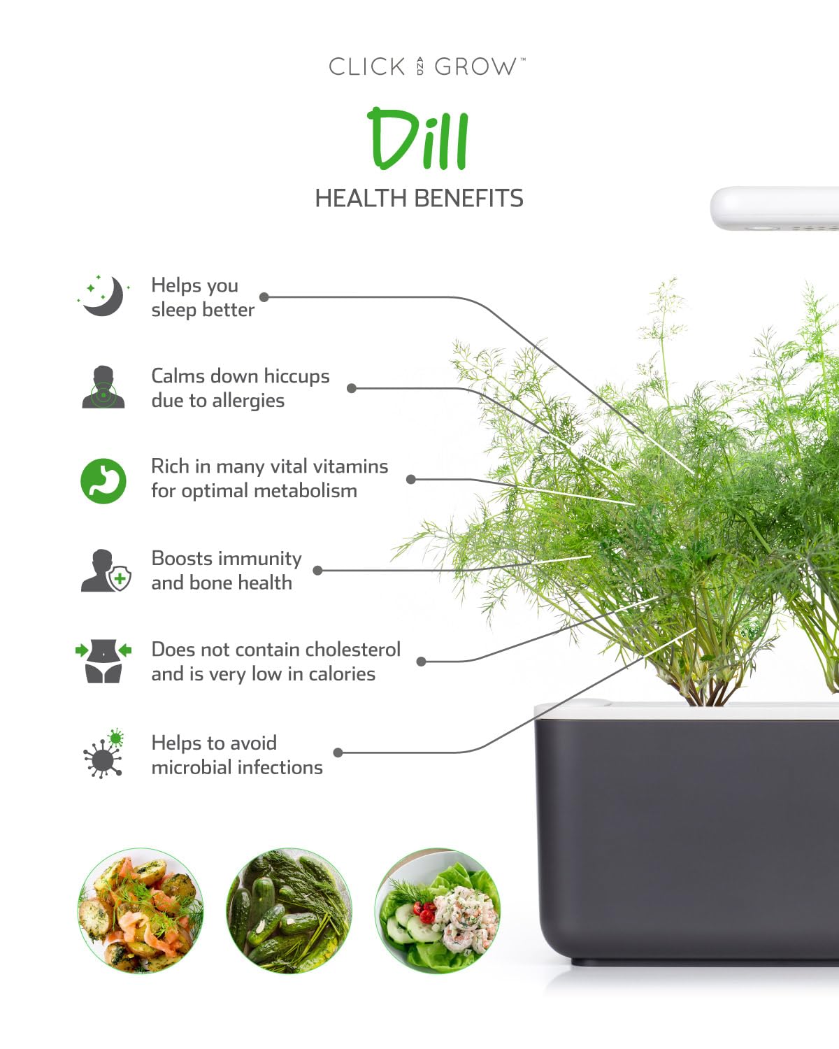 Click and Grow Smart Garden Dill Plant Pods, 9-Pack