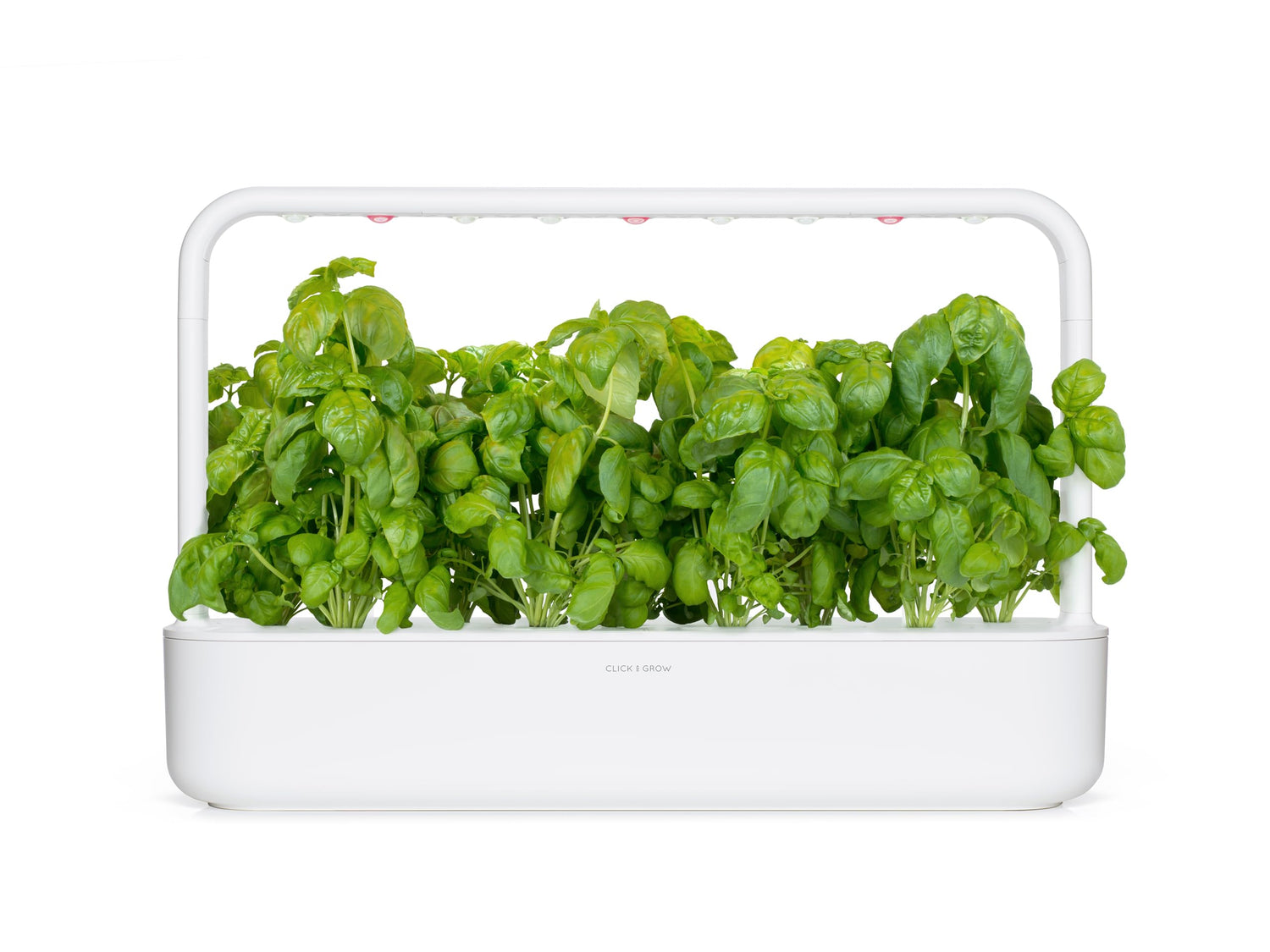 Click and Grow Smart Garden Basil Plant Pods, 3-Pack