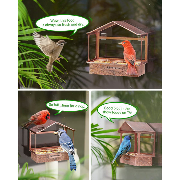 Window Bird Feeder, Desgully Durable Metal Window Bird Feeder, Bird Watching Gift (Square).