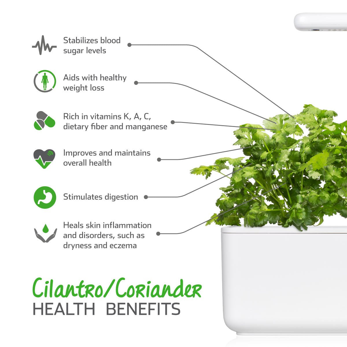 Click and Grow Smart Garden Cilantro/Coriander Plant Pods, 3-Pack