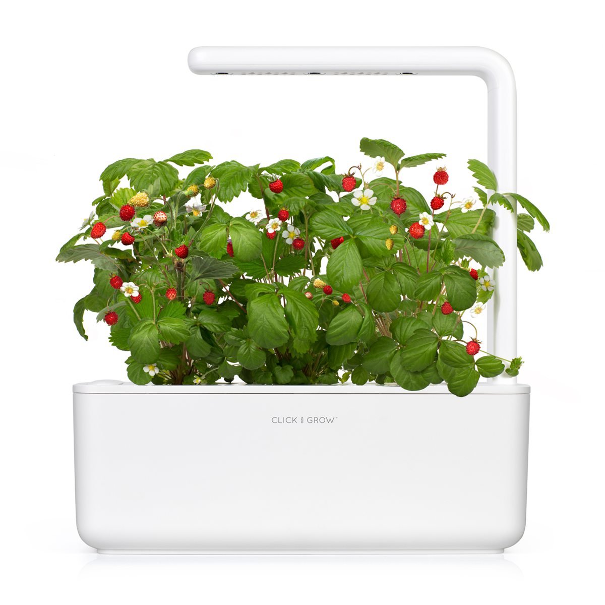 Click and Grow Smart Garden Wild Strawberry Plant Pods, 9-Pack