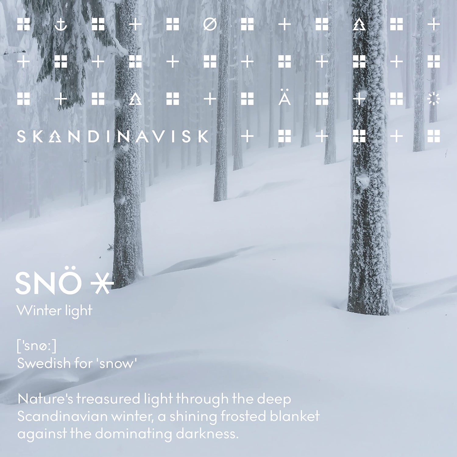 Skandinavisk SNÖ &