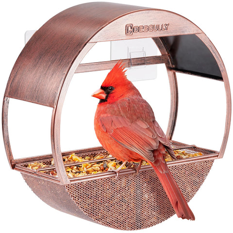 Window Bird Feeder, Desgully Durable Metal Window Bird Feeder, Window Bird Feeders with Strong Suction Cups, Super Adhesive Sheet×4，Large Outdoor Bird Feeder, Bird Watching Gift (Round)