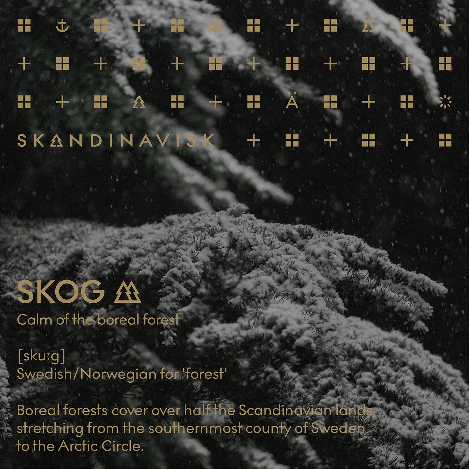 Skandinavisk Skog &