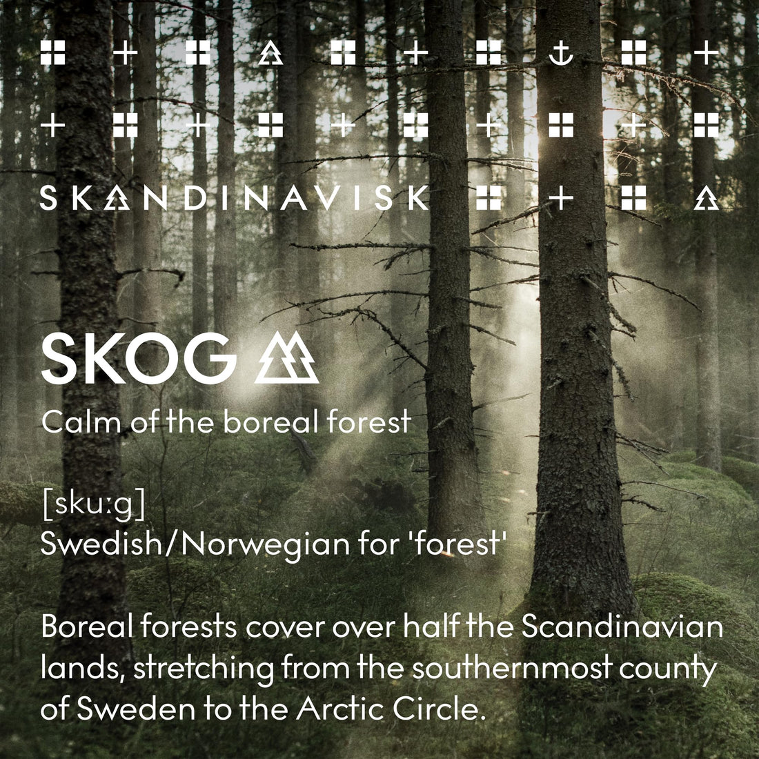 Skandinavisk Conditioner SKOG ‘Forest’ Scent notes: Pine needles and fir cones, birch sap and woodland lily of the valley, 16.91 fl.