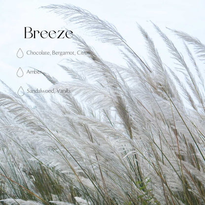 Car Diffuser - Breeze