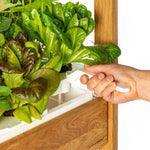 The Click &amp; Grow 25 - Indoor garden for healthy, fresh home-grown leafy greens