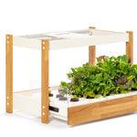 The Click &amp; Grow 25 - Indoor garden for healthy, fresh home-grown leafy greens