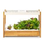 The Click &amp; Grow 25 - Indoor garden for healthy, fresh home-grown leafy greens