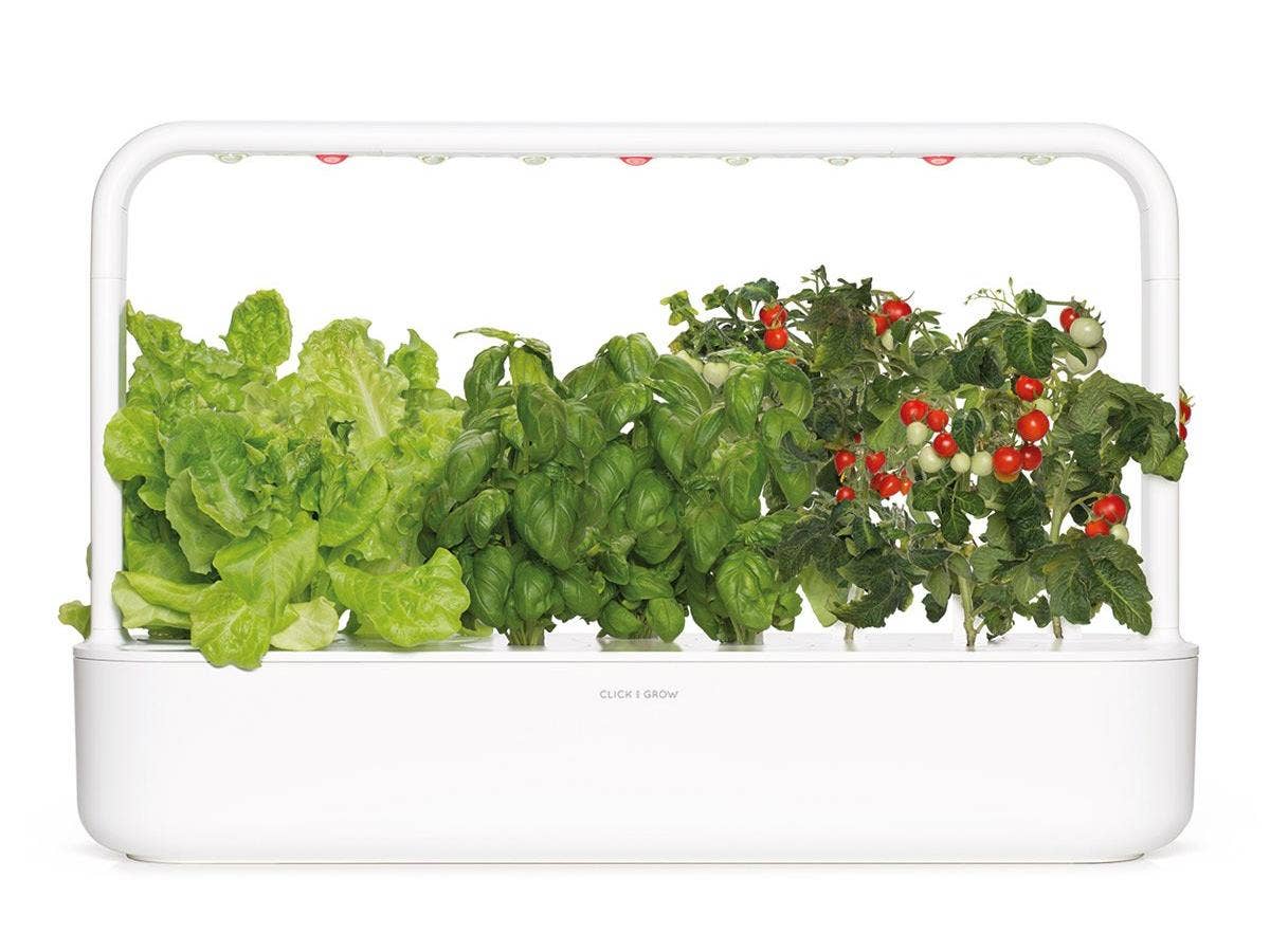 Click &amp; Grow The Smart Garden 9 with Starter Kit (Lettuce, Tomato &amp; Basil) Various Colors Available