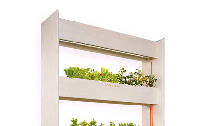 Click &amp; Grow - The Wall Farm Indoor Vertical Garden