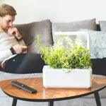 Click &amp; Grow The Smart Garden 3