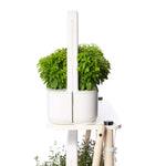 Click &amp; Grow - The Smart Garden 27