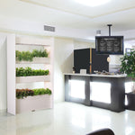 Click &amp; Grow - The Wall Farm Indoor Vertical Garden