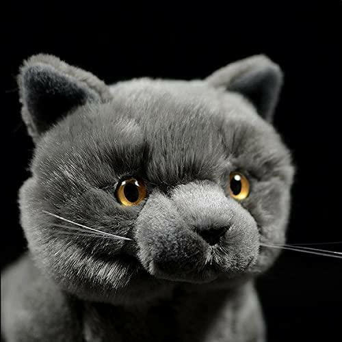 British Short Cat Stuffed Animal - 11 inch Plush Toy Grey Cat, Soft Toy Cat for Kids (British Shorthair Cat 2) - The European Gift Store