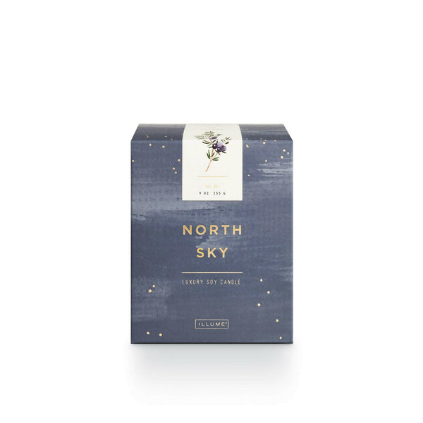 North Sky Small Luxe Sanded Mercury Candle