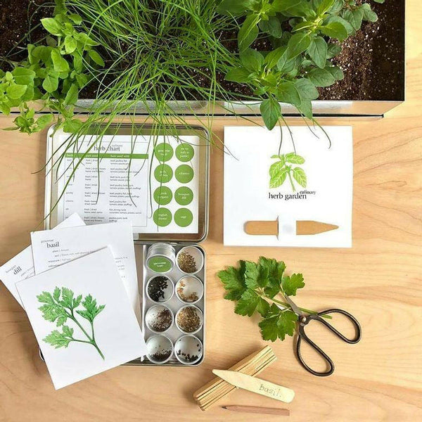 Garden Maker | Culinary Herbs - The European Gift Store